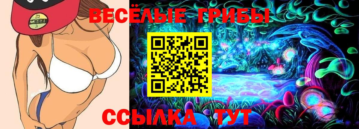 Псилоцибиновые грибы ЛСД  Псилоцибиновые грибы MAGIC MUSHROOMS  Вход с VPN  Шахты 